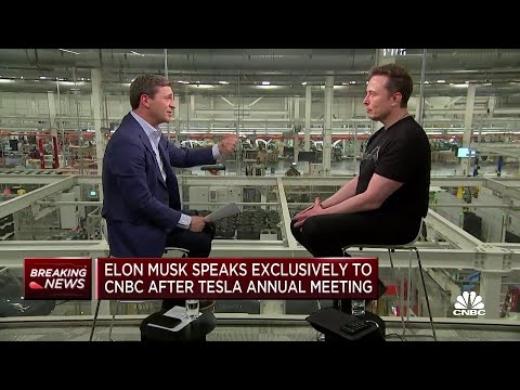 Tesla CEO Elon Musk: I&#039;ll say what I want to say, and if we lose money, so be it