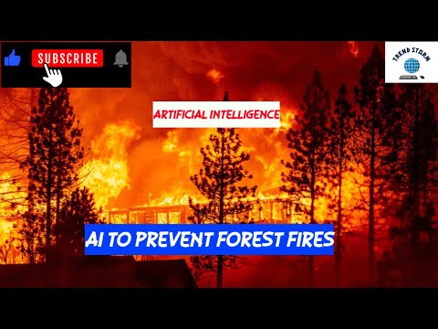 Using AI to prevent forest fires