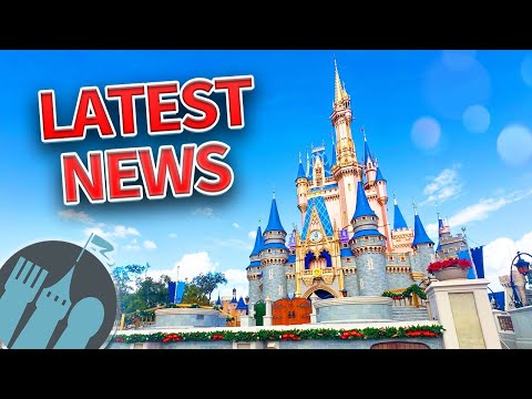 Latest Disney News: Island Tower is OPEN, Bluey Coming to Disney World &amp; MORE!