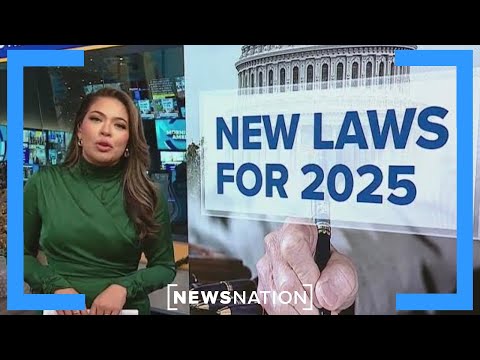 New laws in 2025: AI, social media, concert tickets | Morning in America