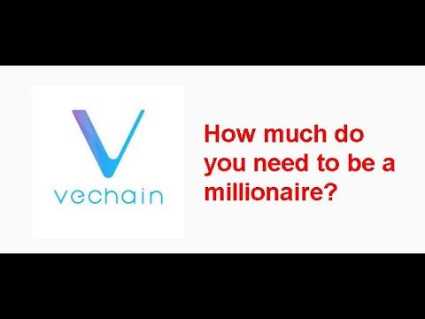 VeChain Millionaire next bullrun? How much Vechain do you need?