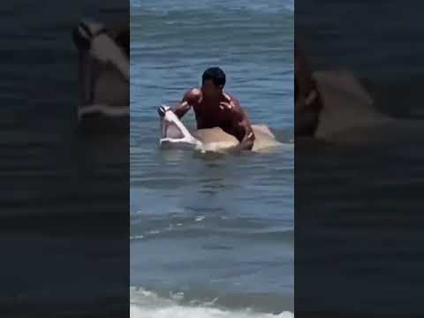 RAW VIDEO: Swimmer captures shark off Delaware coast