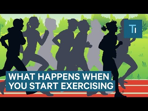 What Happens To Your Body When You Start Exercising Regularly | The Human Body