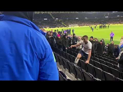 Eric Dier punching a bully fan (Spurs vs. Norwich)